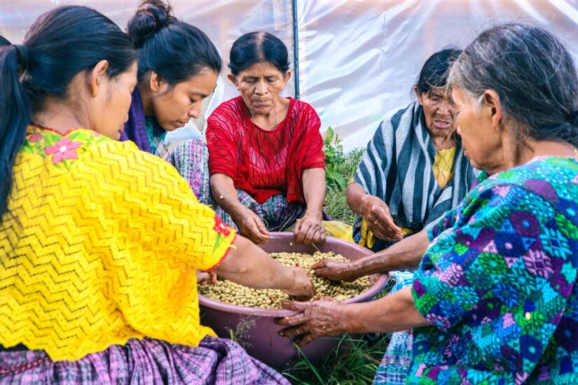 Credit: Fondazione Lavazza