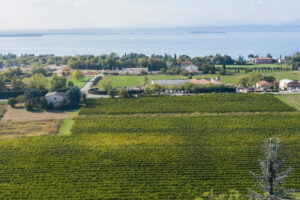 Tra investimenti in qualità e storia da riscoprire, il “risorgimento” del Custoza