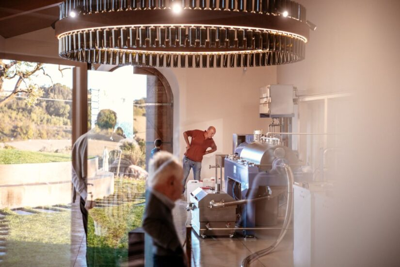 L’oleoturismo, a sostegno dell’olio italiano