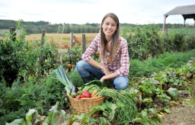 AGRICOLTURA, GIOVANI AGRICOLTORI, IMPRESE AGRICOLE, ISMEA, SERVIZIO CIVILE AGRICOLO, Non Solo Vino