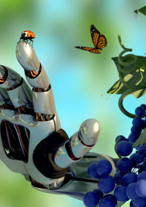 AgriFoodTech, crescono startup e investimenti, ma servono pi&ugrave; infrastrutture (e va sfruttata l&rsquo;Ai)