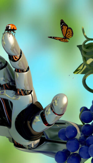 AgriFoodTech, crescono startup e investimenti, ma servono pi&ugrave; infrastrutture (e va sfruttata l&rsquo;Ai)