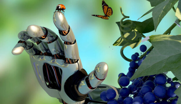 AgriFoodTech, crescono startup e investimenti, ma servono pi&ugrave; infrastrutture (e va sfruttata l&rsquo;Ai)