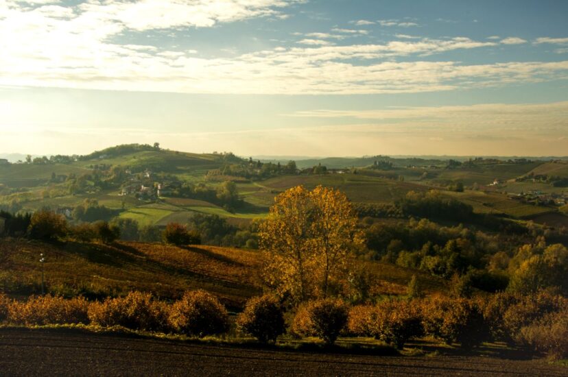 Tra Barolo, bollicine Alta Langa e tartufo, tanti eventi nello spettacolo del foliage delle Langhe