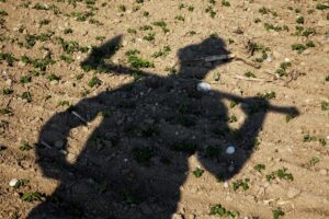 Nel primo semestre 2024 crescono le morti in agricoltura: “serve impegno e responsabilità di tutti”