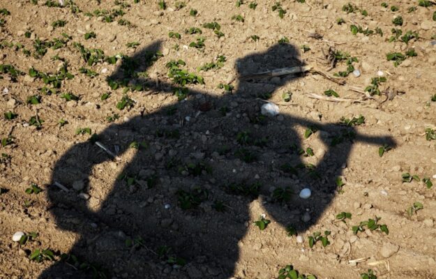 AGRICOLTURA, ANMIL, Associazione italiana coltivatori, CAPORALATO, GIORNATA NAZIONALE PER LE VITTIME DEGLI INCIDENTI SUL LAVORO, INCIDENTI, LAVORO, MORTI SUL LAVORO, SERGIO MATTARELLA, Non Solo Vino