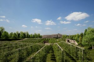 Perfetto connubio di vino e hospitality in Veneto: gli 8 vincitori del “Best of Wine Tourism” 2024