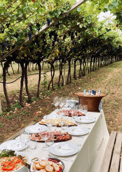 Le Cantine Mezzacorona-Rotari celebrano la “Centoventesima Vendemmia” del Teroldego 