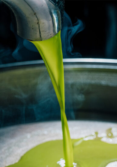 A La Foresteria di Planeta a Menfi si può partecipare alla raccolta delle olive 