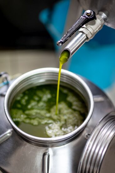 L’oleoturismo, a sostegno dell’olio italiano