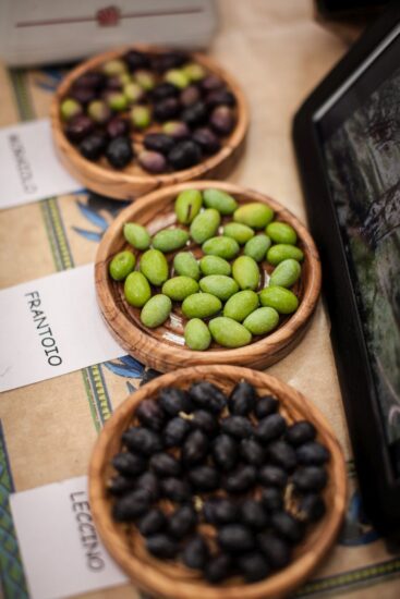 L’oleoturismo, a sostegno dell’olio italiano