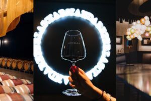 “Best Of Wine Tourism” 2025: la cantina Ottella, nel Lugana, tra le eccellenze mondiali