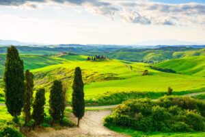 Investire nel green conviene, le eco-imprese hanno ottime performance e generano lavoro