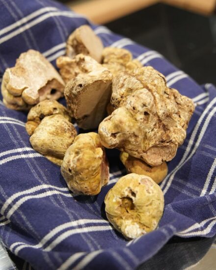 Al via la “Fiera Internazionale del Tartufo Bianco d’Alba”, tra bollicine Alta Langa e Barolo