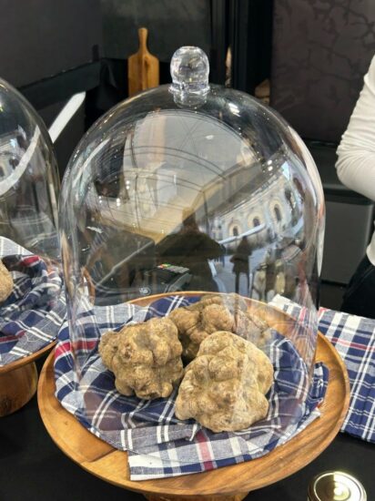 La stagione di raccolta del tartufo bianco italiano entra nel vivo anche a Città di Castello 