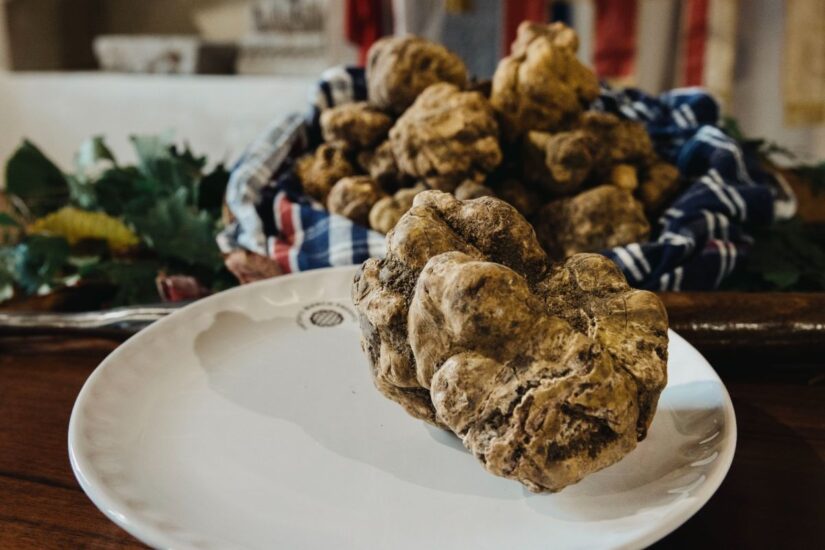 Tartufo, poco, ma buono, ad oggi, nella stagione 2024 