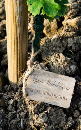 Vigna Michelangelo a Firenze