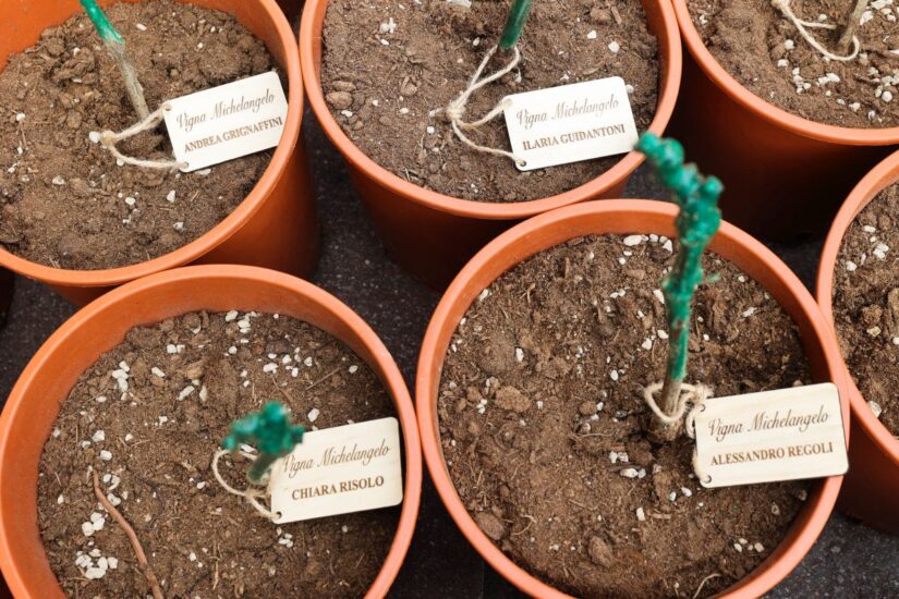 Vigna Michelangelo a Firenze