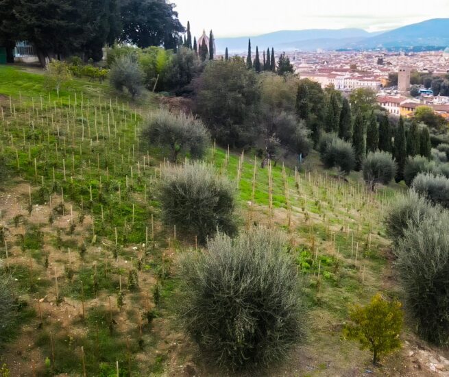 Vigna Michelangelo a Firenze