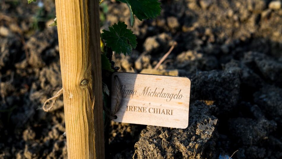 Vigna Michelangelo a Firenze