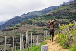 Il vino che nasce nei Parchi nazionali italiani, un chiave diversa per raccontare la biodiversità