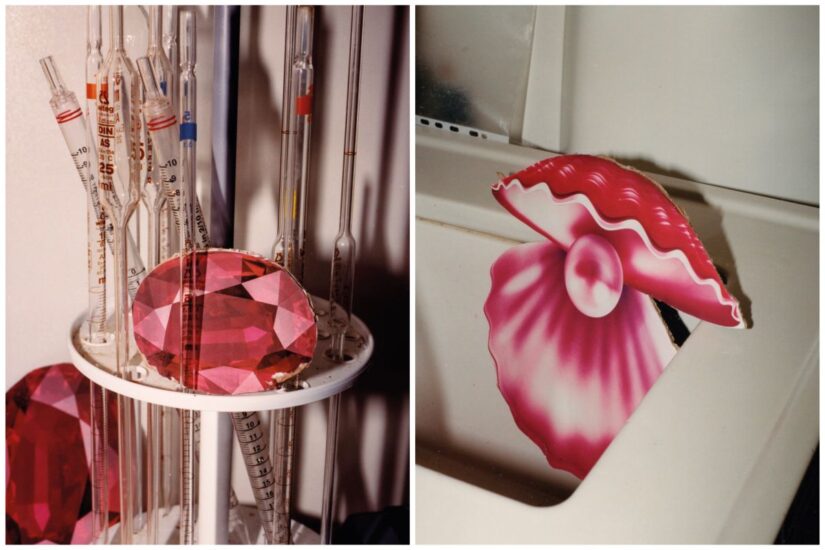 “Rosa Sentinella”, la mostra fotografica di Rachele Maistrello per Zenato Academy a Milano 