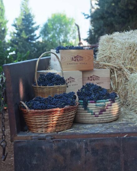 Château Ksara, sentito da WineNews, ha vigne di oltre 50 anni che hanno visto molte guerre