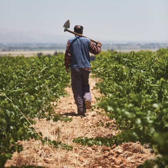 A WineNews, Gaston Hochar, erede e direttore Château Musar, in Libano (ph: Facebook)