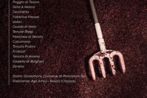 I Vini di WineNews - N. 331