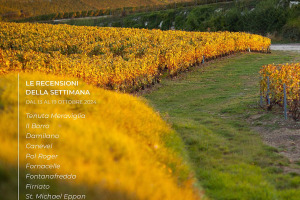 I Vini di WineNews - N. 332