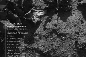 I Vini di WineNews - N. 333