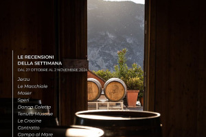 I Vini di WineNews - N. 334