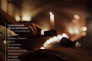 I Vini di WineNews - N. 335