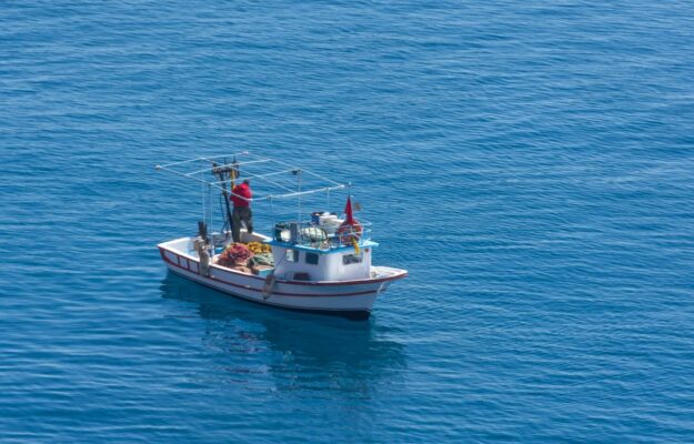 ACQUACOLTURA, FORMAZIONE, GIOVANI, INVESTIMENTI, PESCA, PESCATORI, PROSPETTIVE, REDDITO, RICAMBIO GENERAZIONALE, UGL, Non Solo Vino