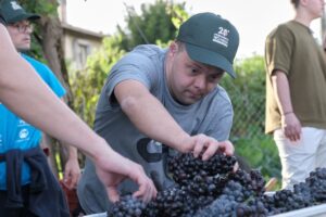 La vendemmia inclusiva di Cecchetto: 20 anni di Raboso Piave prodotto insieme ai ragazzi down