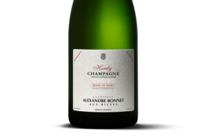 Alexandre Bonnet, Aoc Champagne Extra Brut Blanc de Noirs Hardy 2019