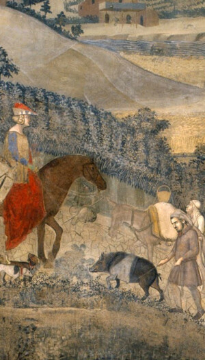 La Cinta Senese, dall&rsquo;affresco del &ldquo;Buon Governo&rdquo; di Ambrogio Lorenzetti alla &ldquo;custodia&rdquo; della razza