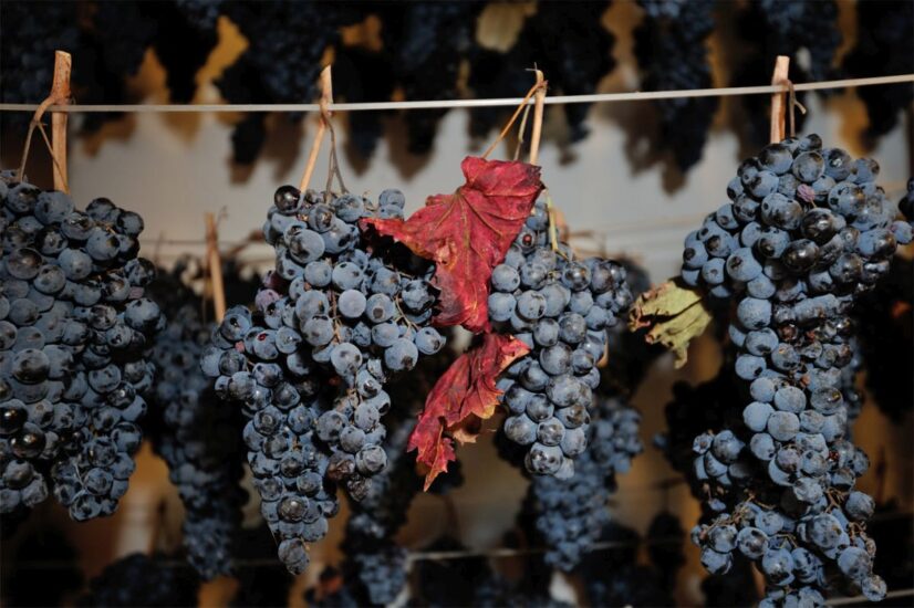 Serrapetrona celebra il vitigno della Vernaccia con gli “Appassimenti Aperti”