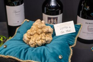 Dall’“Asta Mondiale del Tartufo Bianco d’Alba” al “Merano WineFestival”, ecco gli eventi
