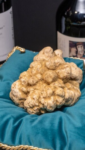 Dall’“Asta Mondiale del Tartufo Bianco d’Alba” al “Merano WineFestival”, ecco gli eventi