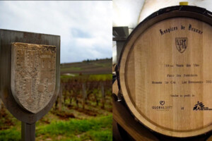 Hospices de Beaune: 15,5 milioni di euro raccolti con l’asta 2024 delle botti “bio” di Borgogna