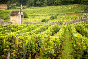 La Borgogna torna a crescere nel mondo, nonostante le difficoltà del mercato del vino