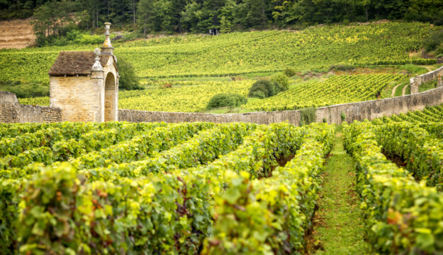 In 50 anni la produzione di vino in Francia &egrave; calata del 45%. E si sposta sempre pi&ugrave; al Nord