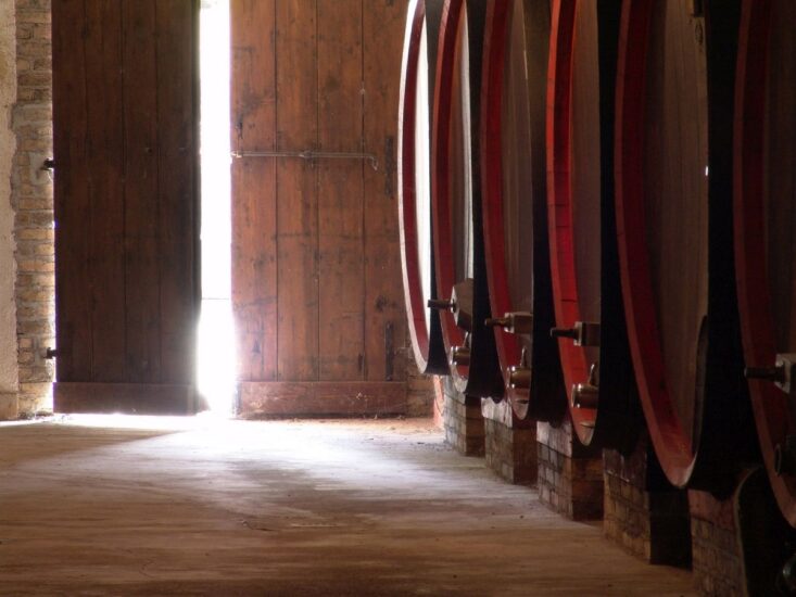 Nelle “Cantine Aperte a San Martino” in tutta Italia si assaggia la nuova annata dei vini italiani