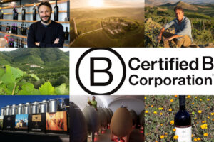L’Italia del vino è la regina della sostenibilità in Europa: 7 le cantine certificate B-Corp