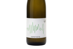 Cascina Maddalena, Doc Lugana Capotesta 2021