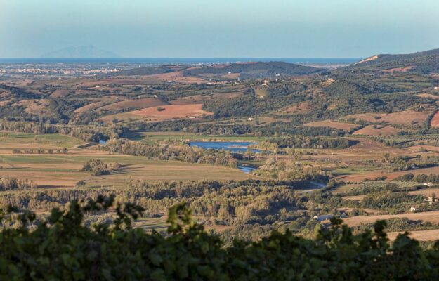 AGRICOLTURA BIOLOGICA, DISTRETTO BIOLOGICO, FRANCESCO SAVERIO BENEDETTI, MONTE AMIATA, MONTECUCCO, REGIONE TOSCANA, STEFANIA SACCARDI, Non Solo Vino