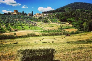 L’ascesa degli agriturismi in Italia: in 10 anni +23% di strutture, un settore da 1,9 miliardi