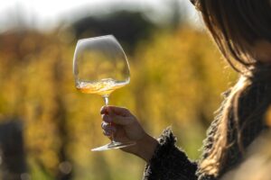 Viaggio WineNews ad Oslavia, la “collina” degli orange wines, in Friuli, tra storia, cultura e vino