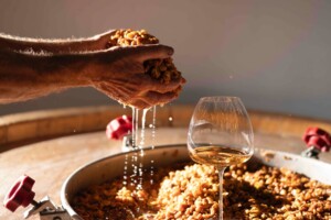 Also Orange Wines have their own wine glass: the “T-made 95 Oslavia” for Ribolla Gialla